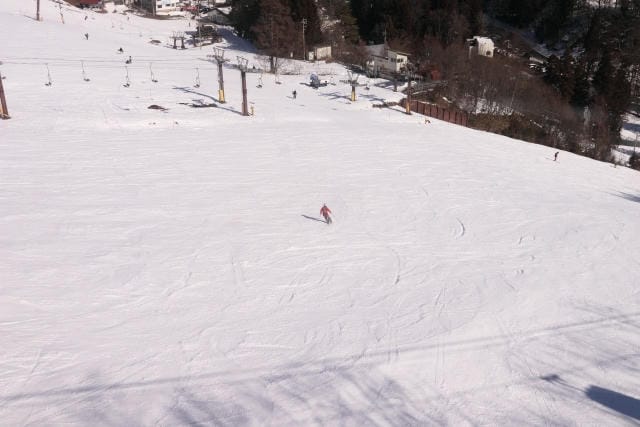 スキーと一緒に楽しむ冬の魅力